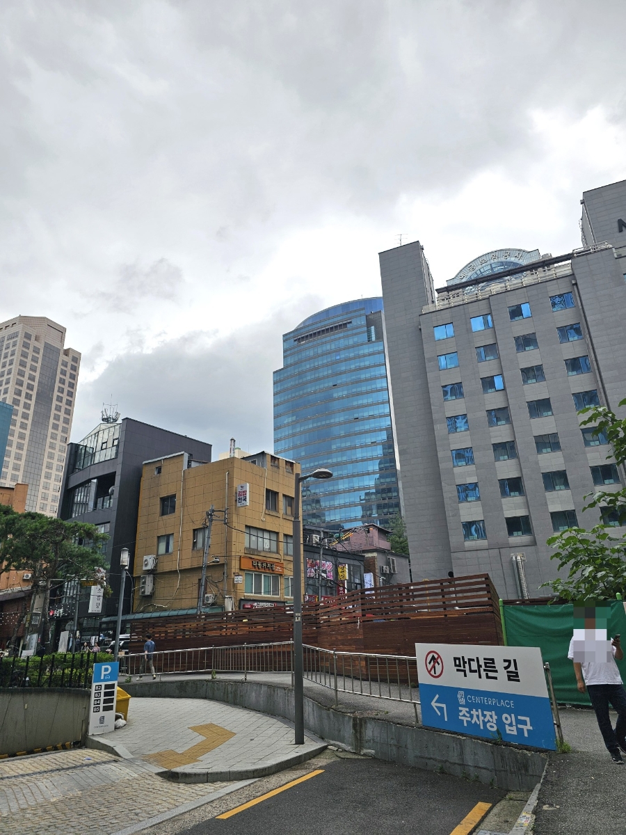 초류향 사진 4