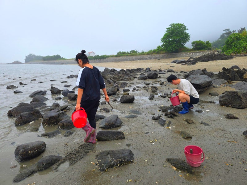 Taean Tidal Flat Experience with a Pool: Sea Fishing, Tidal Flat Experience, and a Healing 2-Day Trip