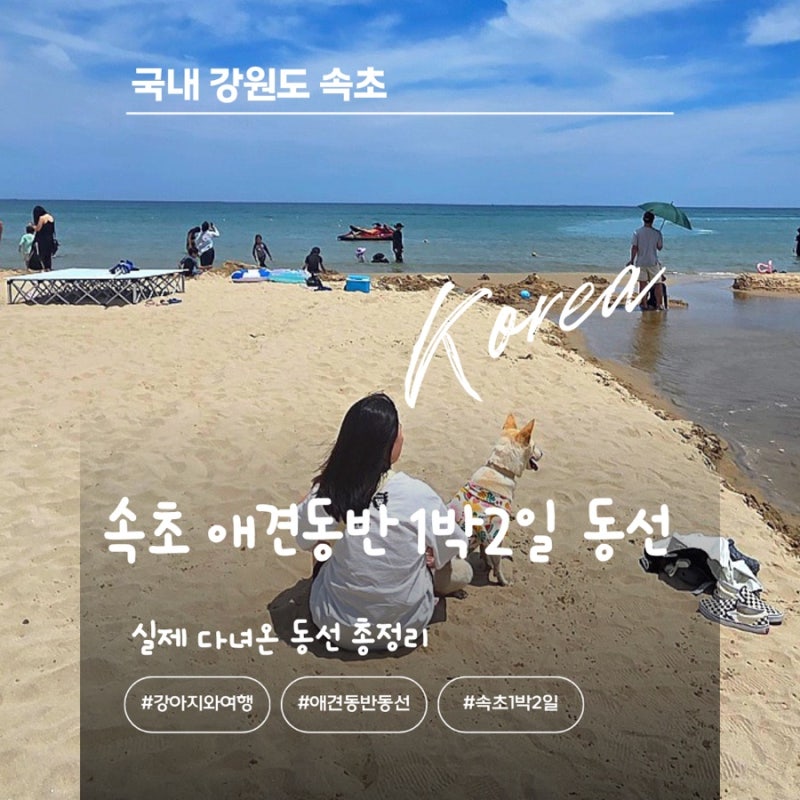 속초 애견동반 1박2일 여행코스 강아지와 쉬어가며 다녀온 실제 동선 총정리