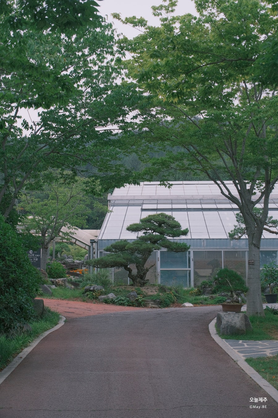 압해도 사진 2