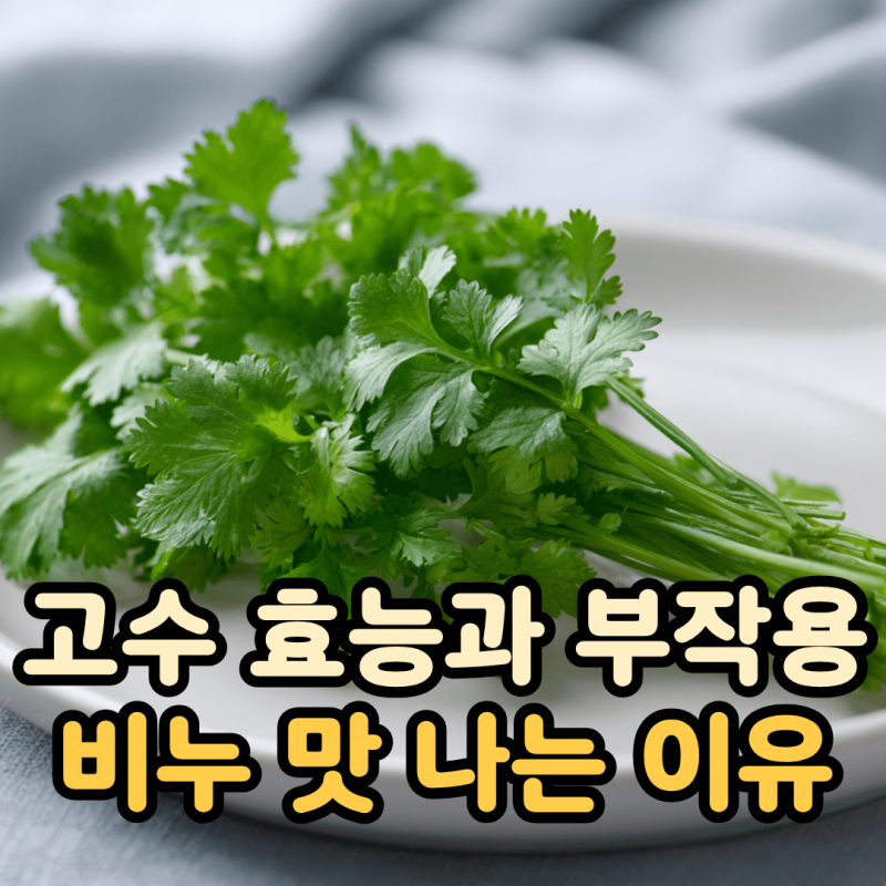 고수 효능과 부작용, 비누 맛이 나는 이유 총정리