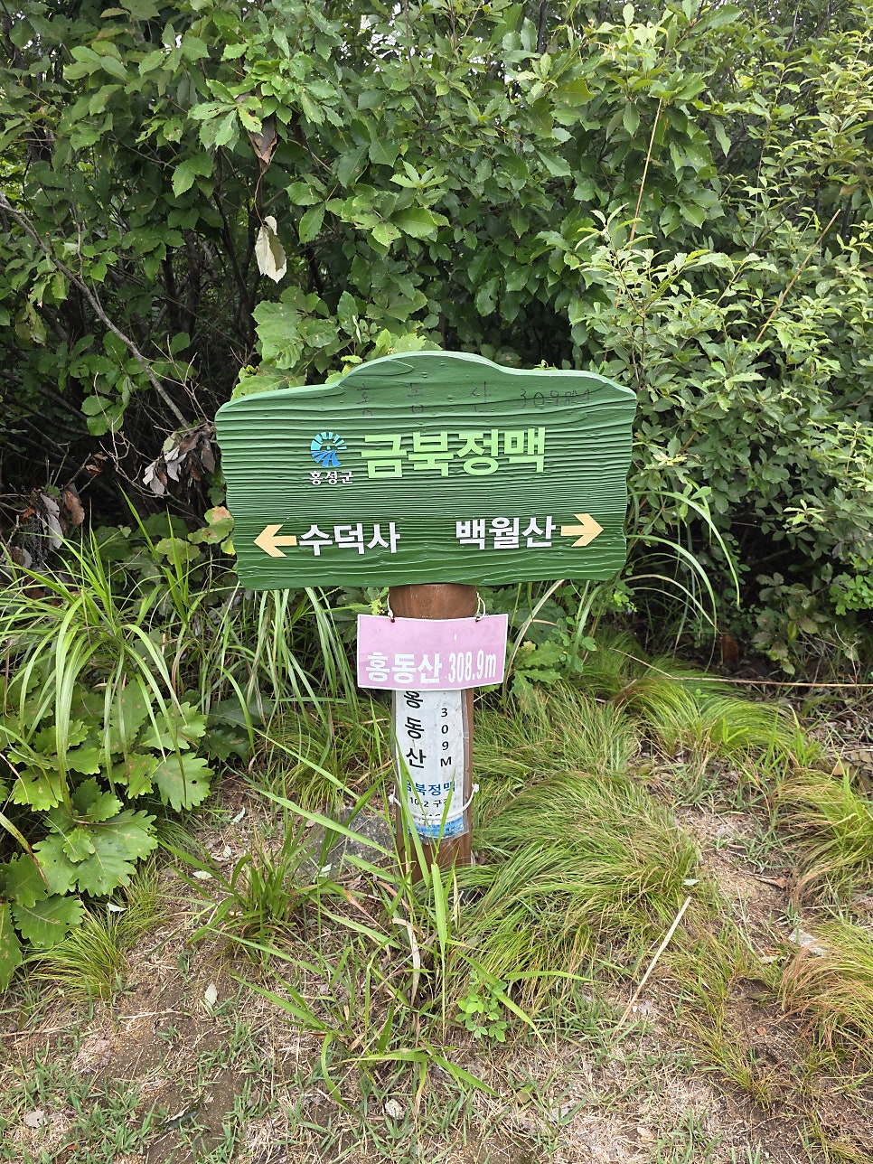 홍동산 사진 3