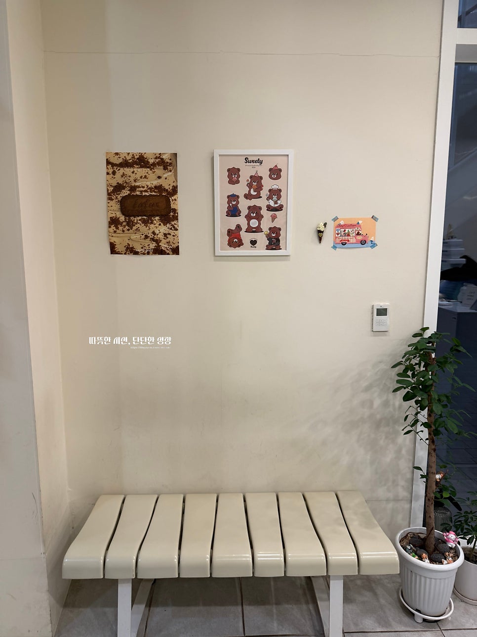 스위티 사진 4
