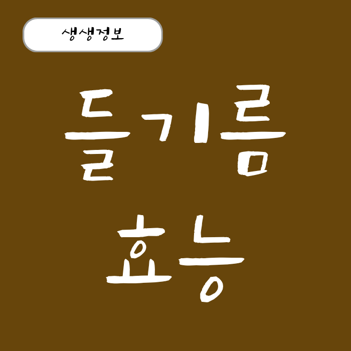 들기름 효능 생들기름 효능 영양 흡수율 높이는 꿀조합