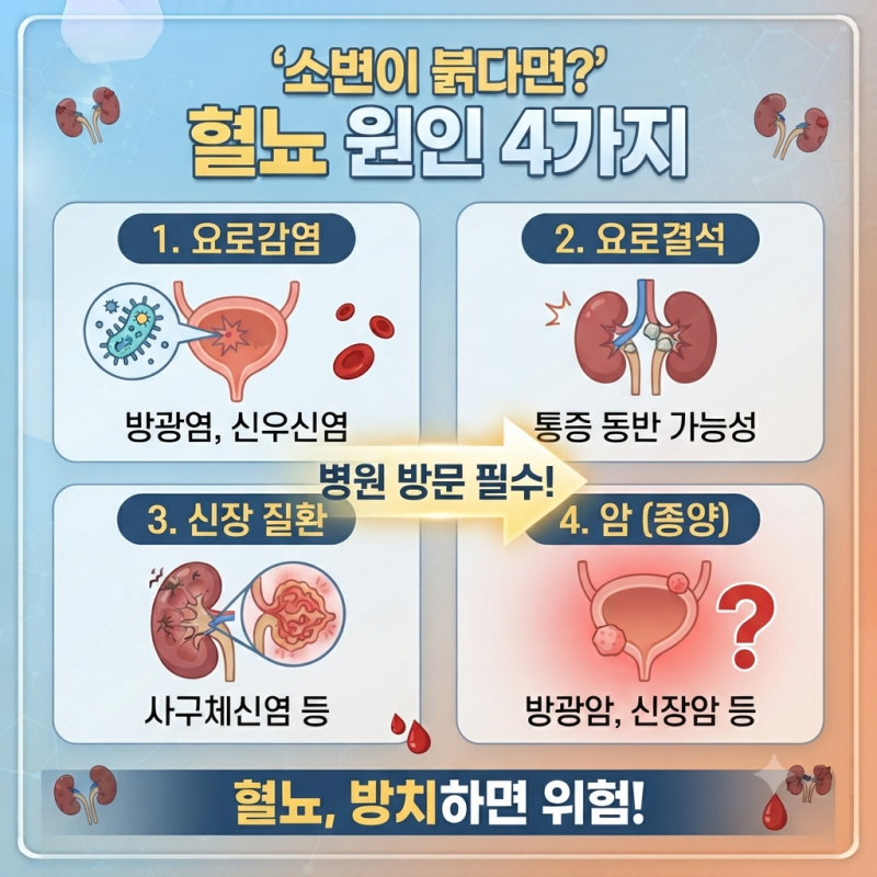 혈뇨 원인 소변이 붉을 때 의심되는 4가지