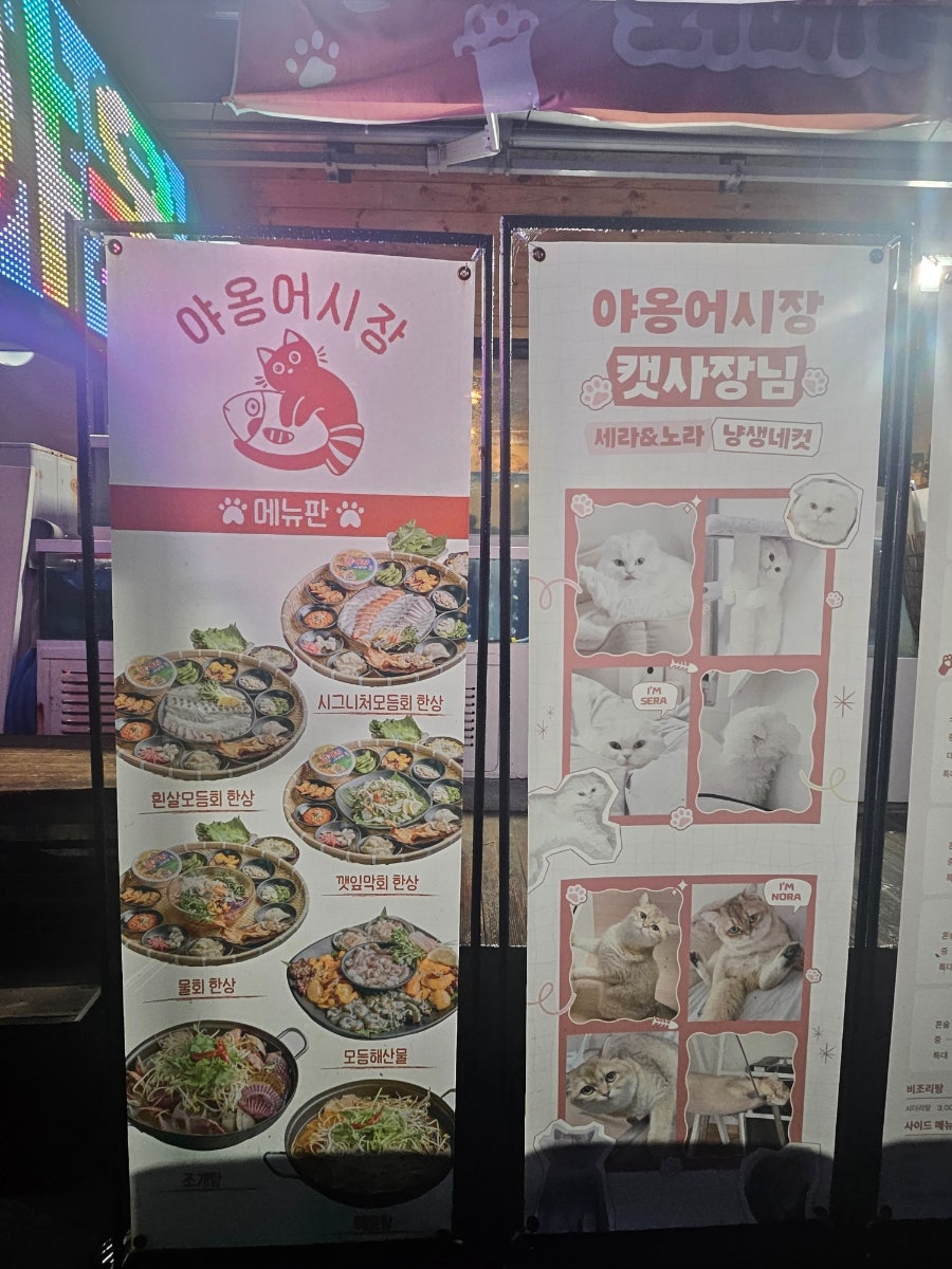 야옹어시장 사진 3