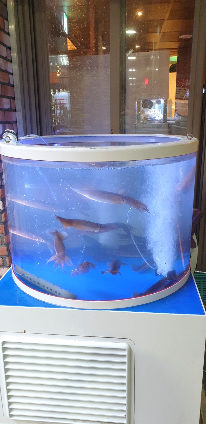회포명월관 사진 4