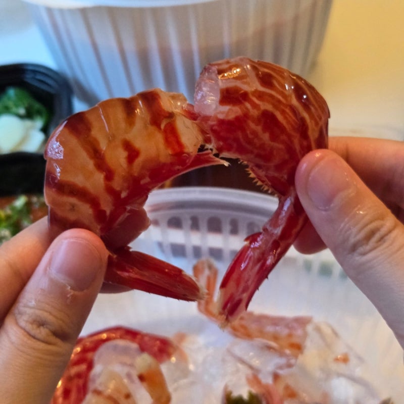 울릉도 독도새우 맛집 울릉가 후기