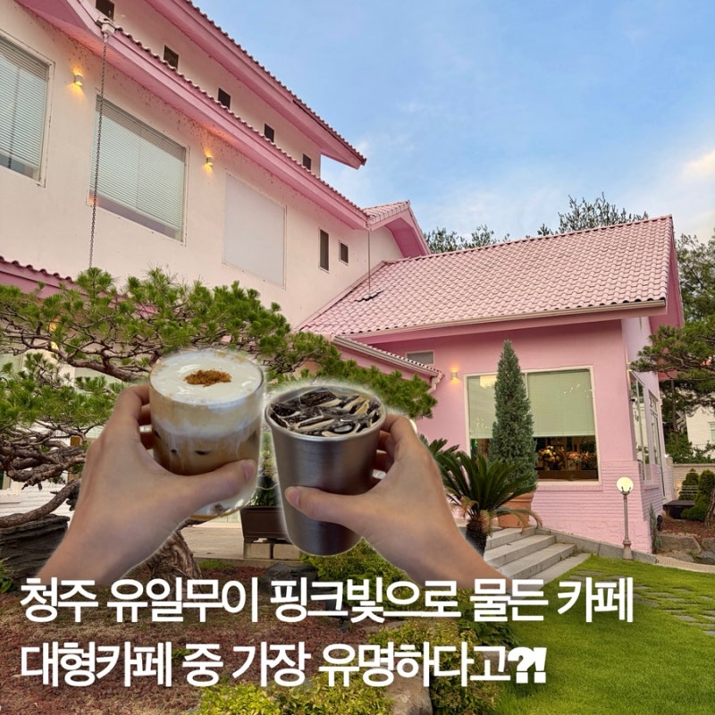 청주 대형카페 찾는다면 여기! 투더문 청주본점 솔직 후기