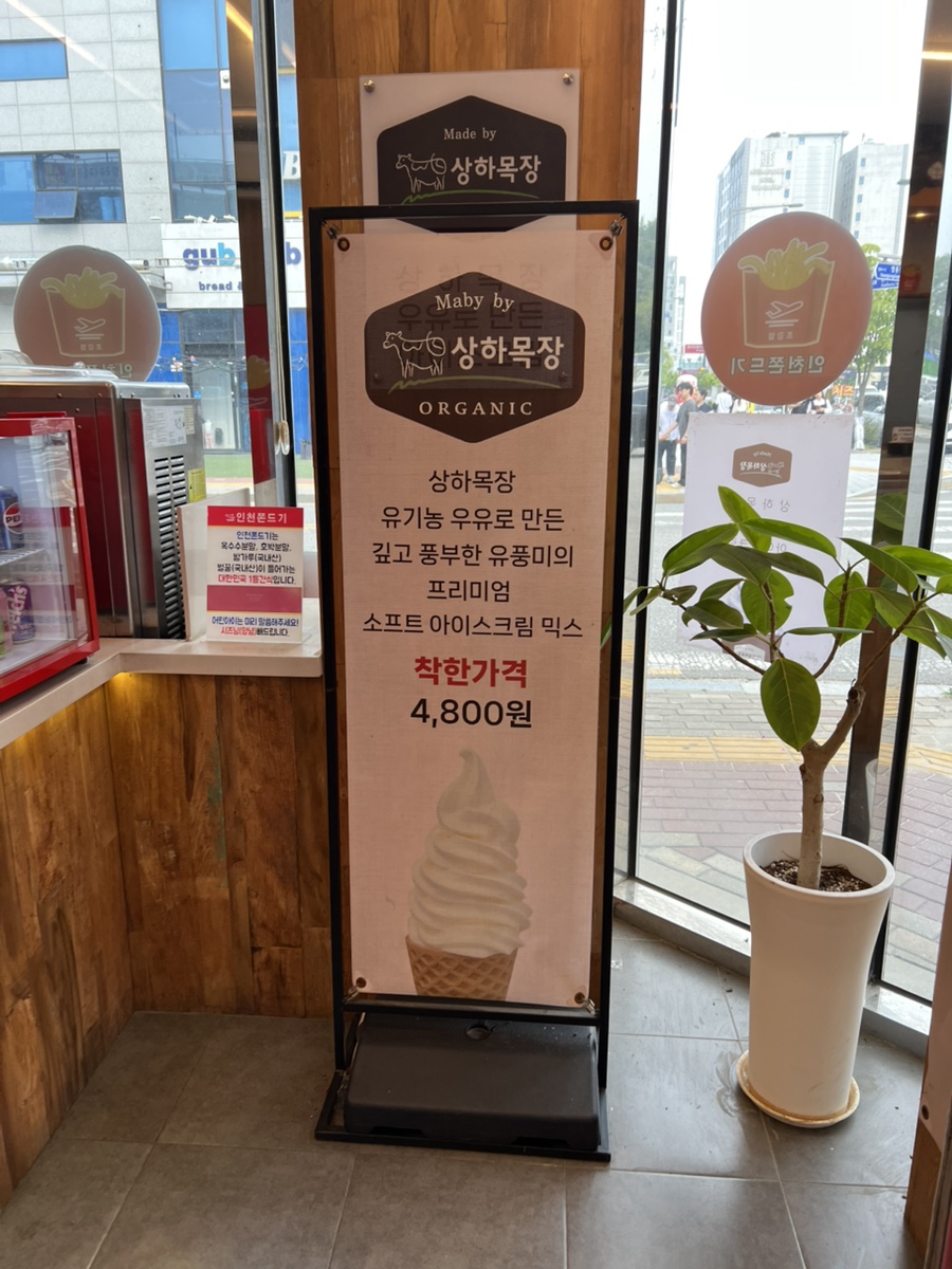 인천쫀드기 사진 3