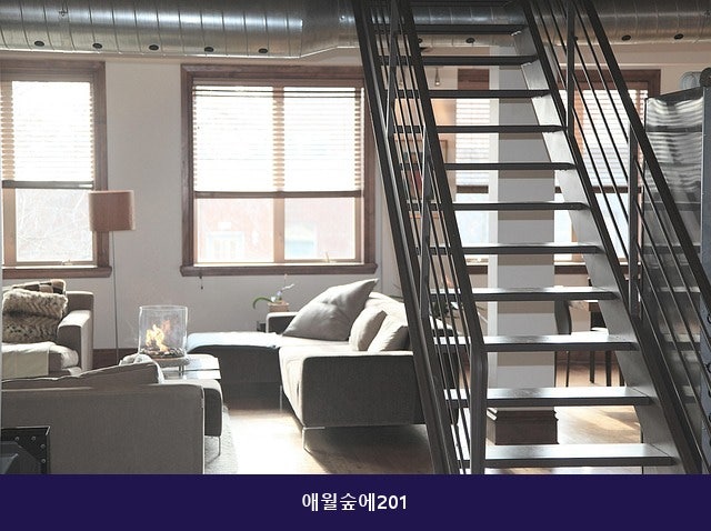 애월숲에 201 사진 1