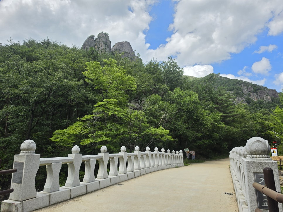 주방계곡 사진 5