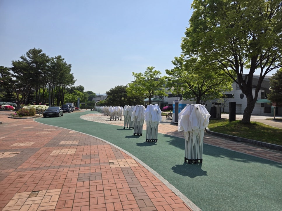 에이스 사진 2