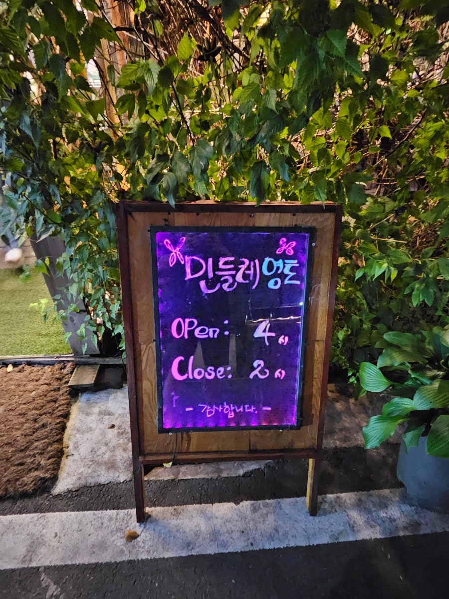 민들레 사진 3