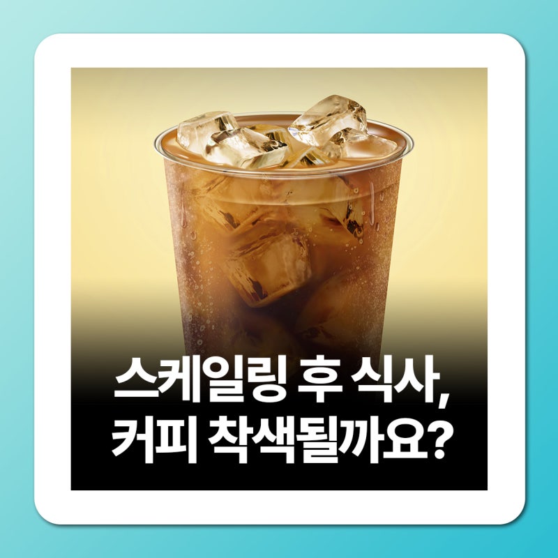 스케일링 후 식사 기준 1시간? 커피 착색 걱정된다면?
