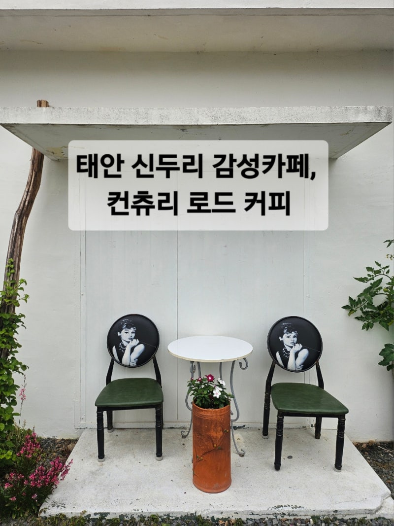 태안 신두리 카페 추천, 컨츄리 로드 커피 방문 후기｜디저트와 분위기 모두 만족했던 곳