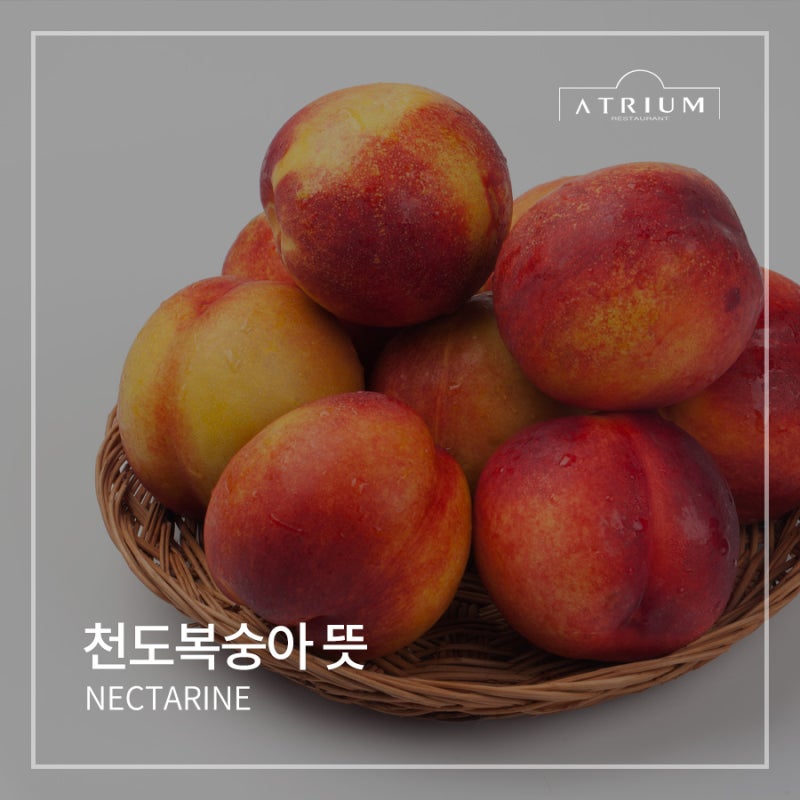 천도복숭아 뜻 효능 제철 신비복숭아 차이