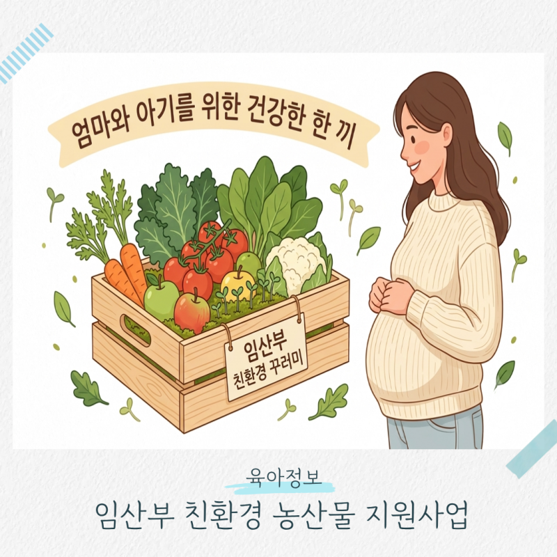 2026 임산부 친환경 농산물 지원사업 | 에코이몰 신청방법 및 지자체별 신청기간 총정리