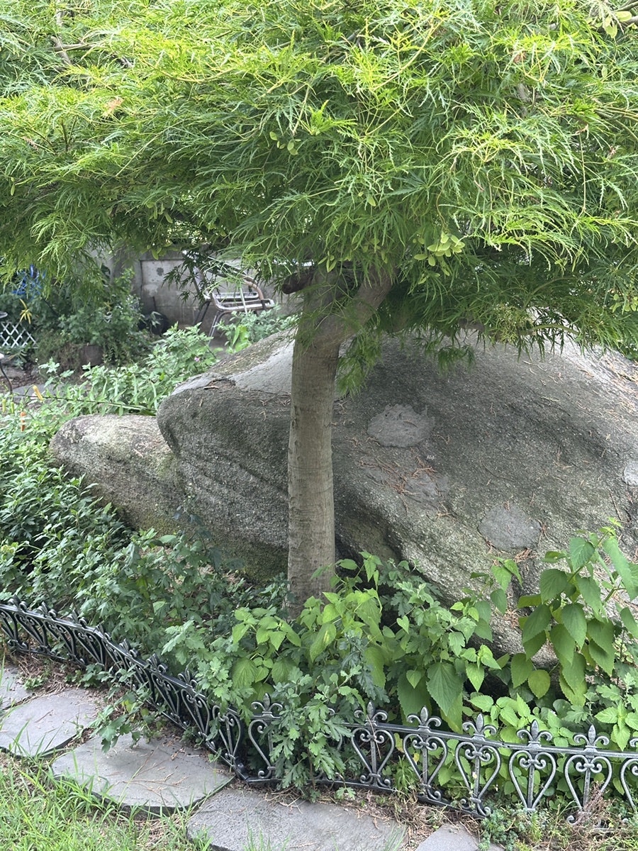 추억담 사진 6