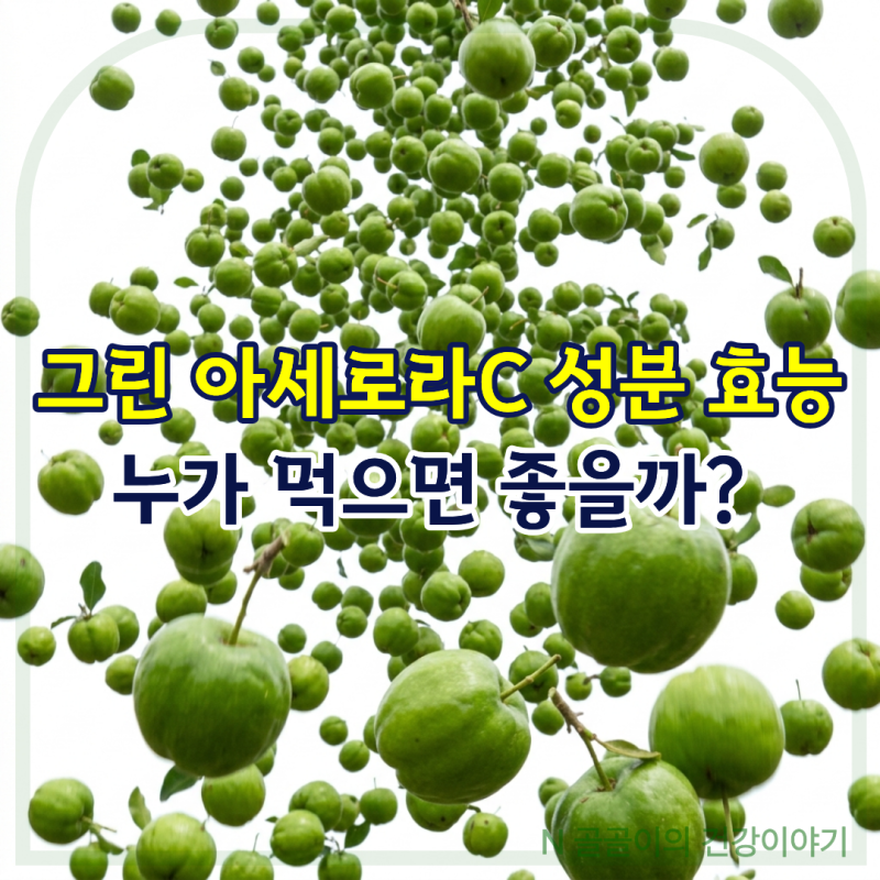 그린 아세로라C 성분 효능, 누가 먹으면 좋을까?