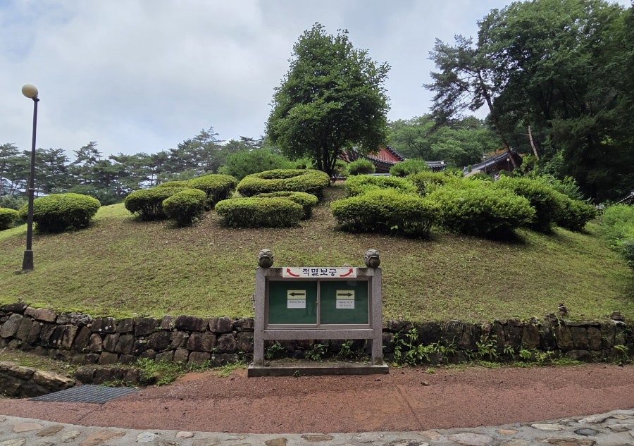구봉대산 사진 3