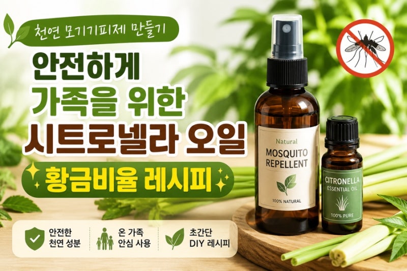 천연 모기기피제 만들기 안전하게 가족을 위한 시트로넬라 오일 황금비율 레시피