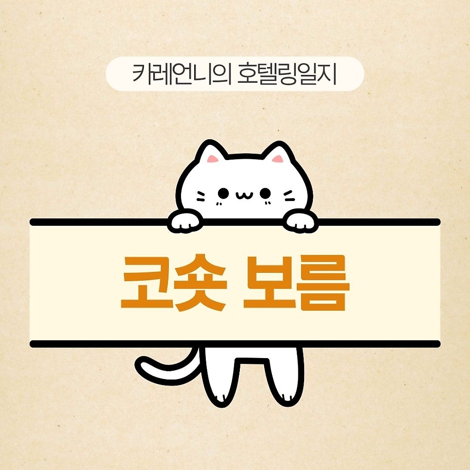 호텔 보름 사진 1