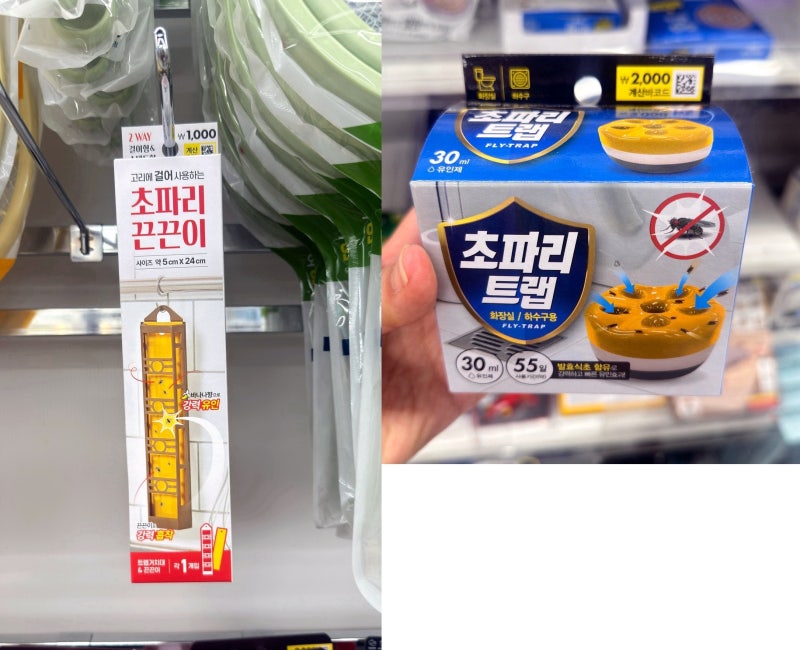 다이소 초파리 트랩 효과 있을까? 초파리 끈끈이와 함께 사용해 본 후기 및 버리는 법