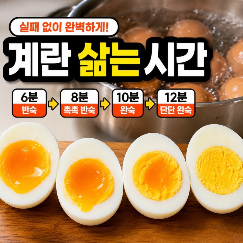 계란 삶는 시간 완숙 반숙 냉장고 찜기 이것만 보면 해결!