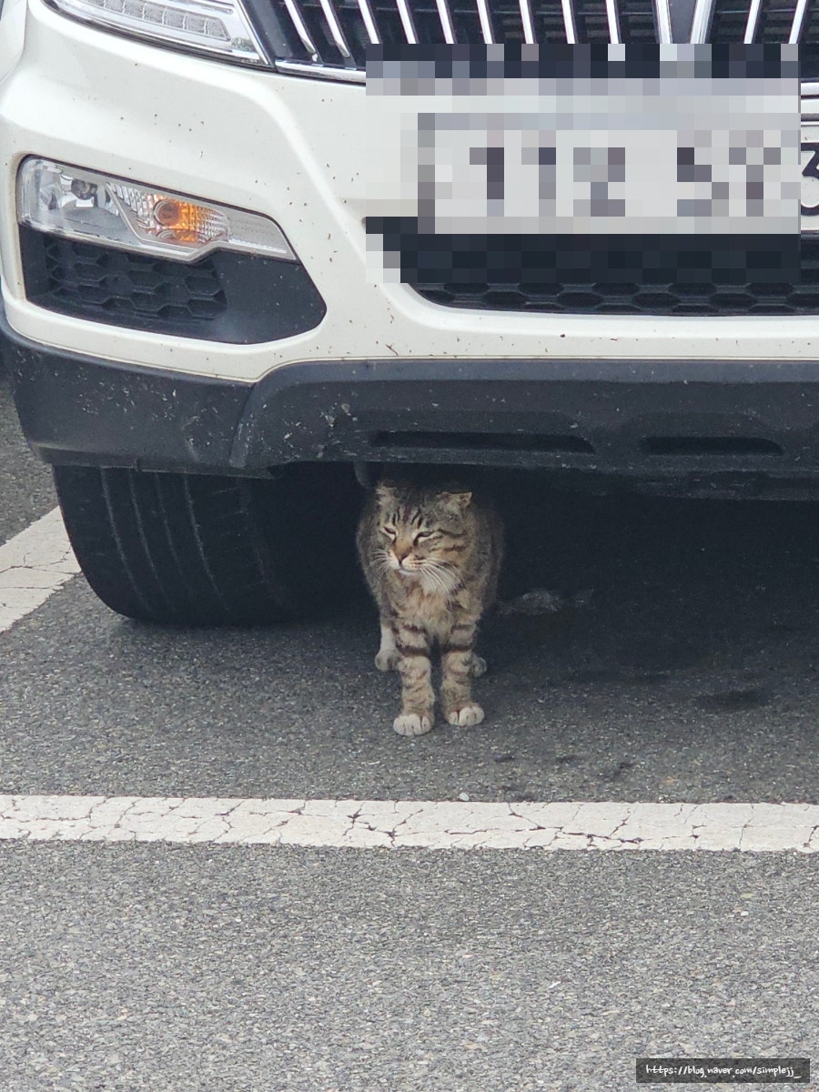 스테이미도 사진 2