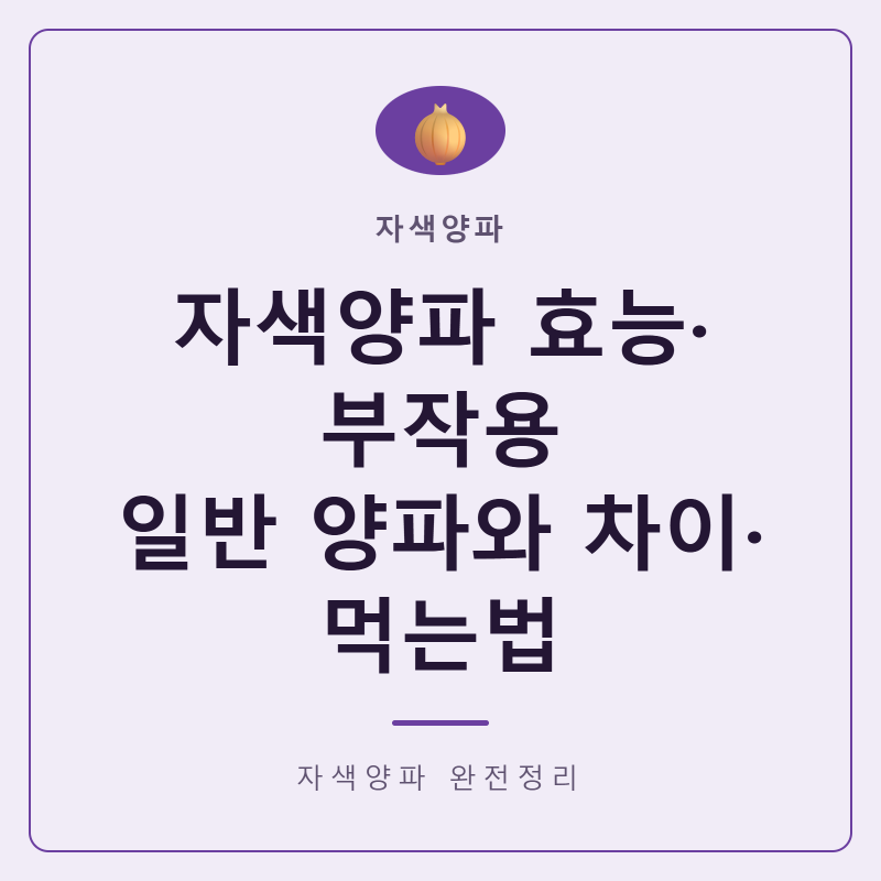 자색양파 효능 부작용 먹는법 일반 양파와 차이 완전정리