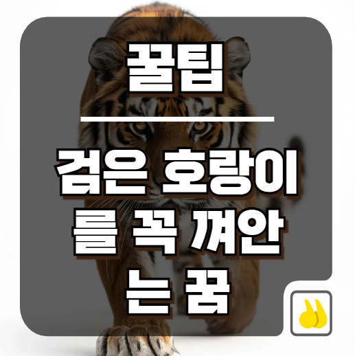 평생 한 번 꿀까 말까 한 검은 호랑이를 꼭 껴안는 꿈 숨겨진 반전 해몽