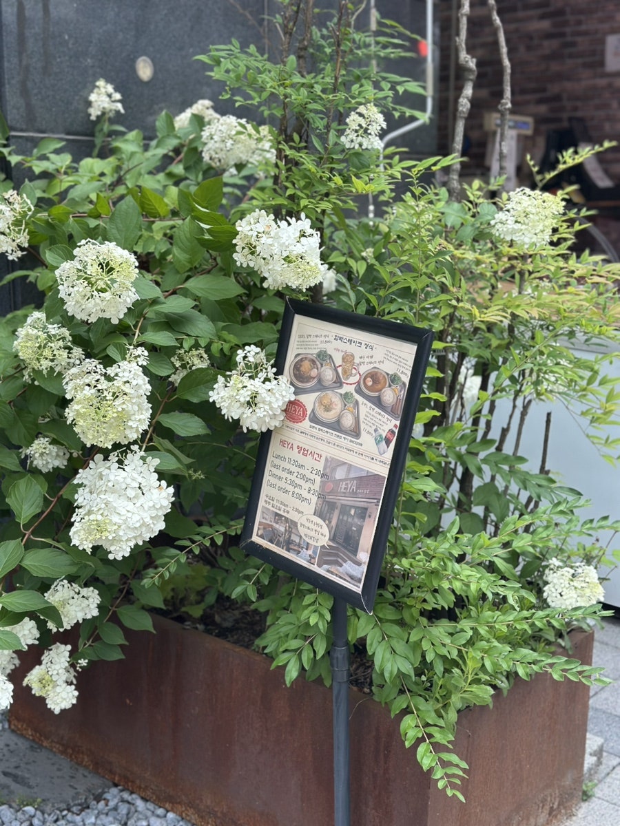 헤야 사진 3