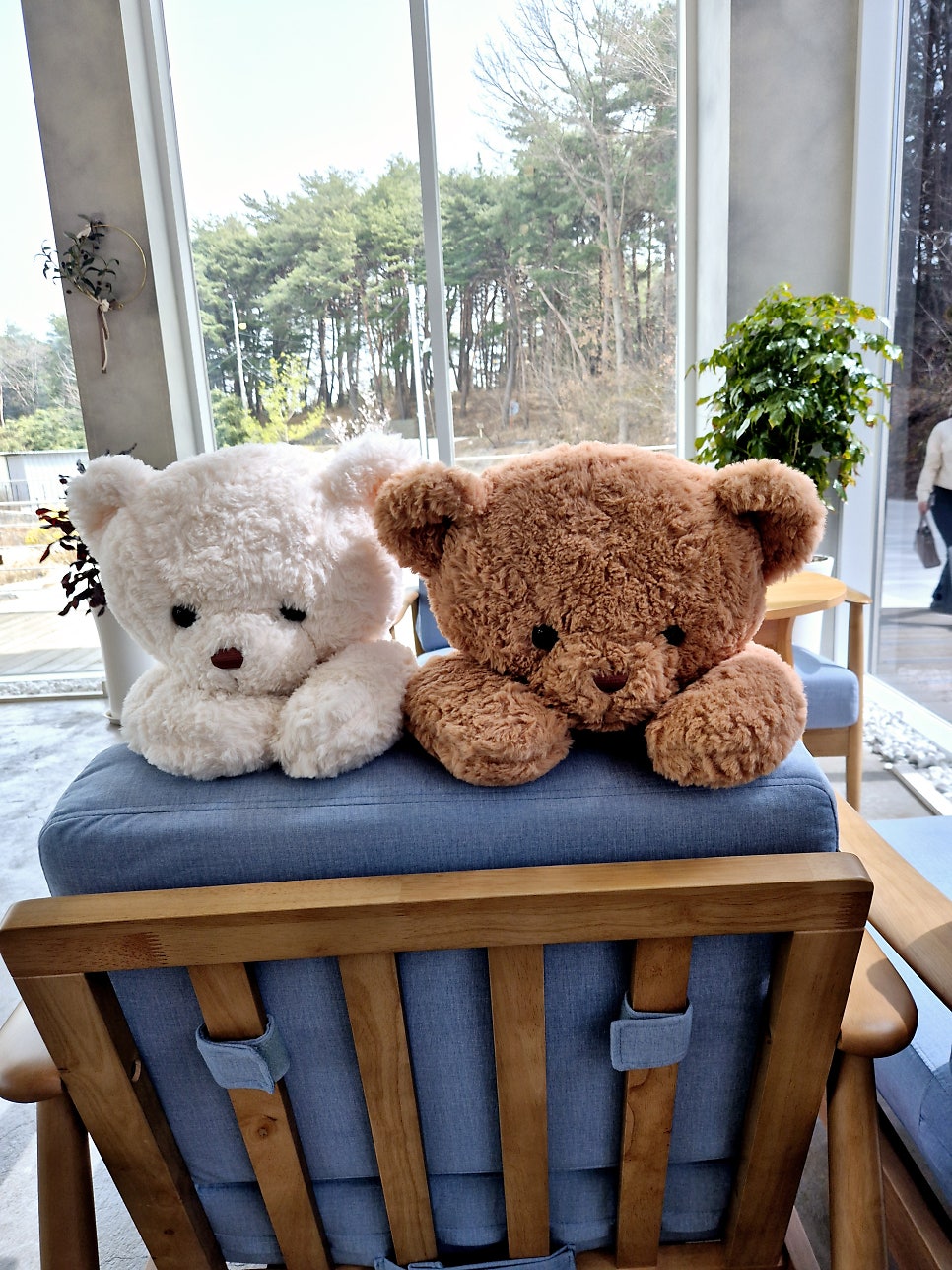 토담쌈밥 사진 6