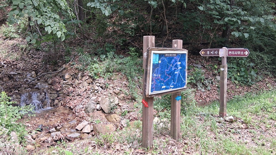 봉미산 사진 6