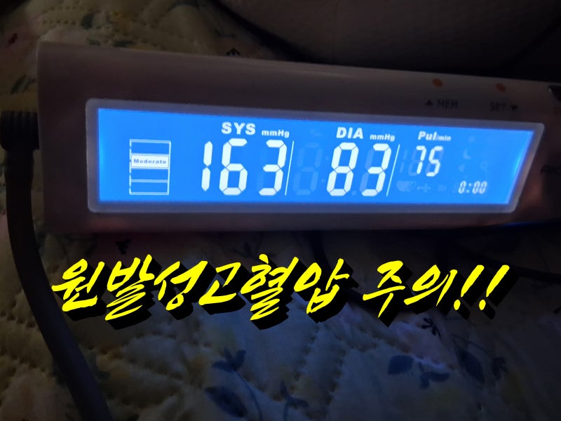 원발성 속발성 고혈압 차이, 본태성 한자 뜻으로 명쾌하게 이해하는 어르신 혈압 관리