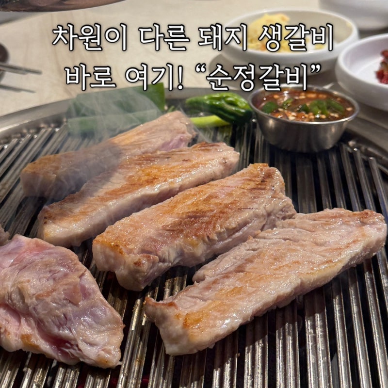 선릉역 맛집 순정갈비ㅣ서울 3대 돼지갈비 솔직후기