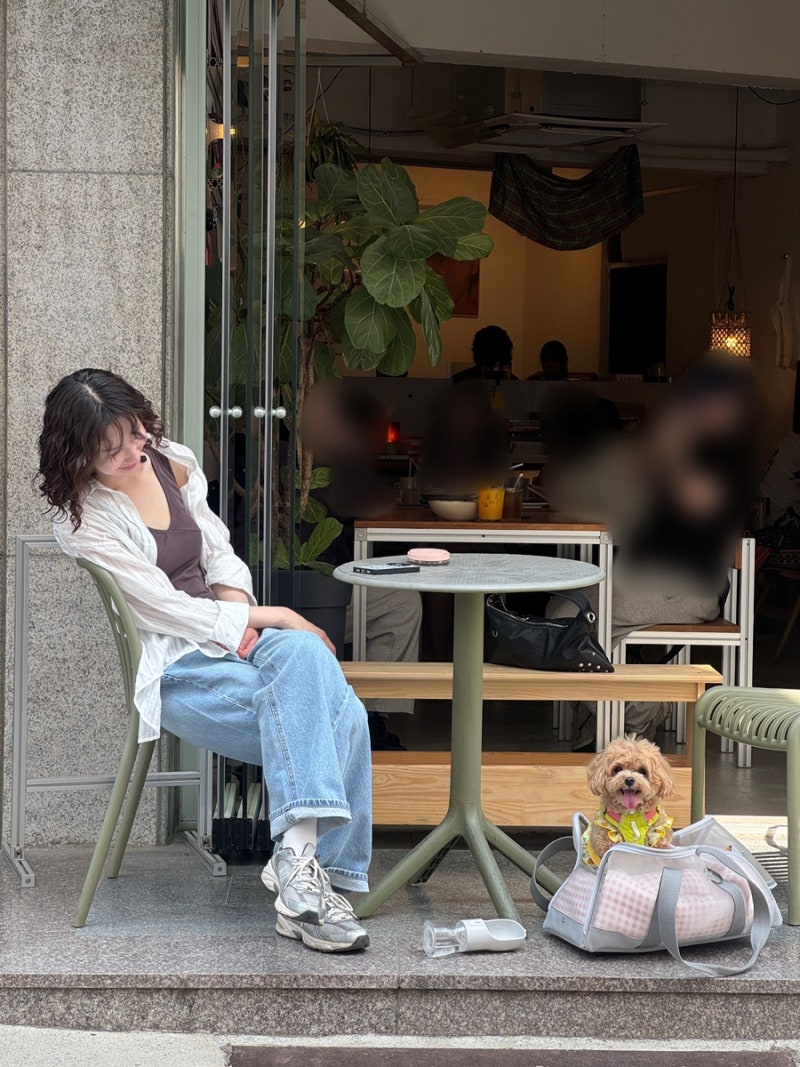 강아지 이동가방 멈머 윈디백