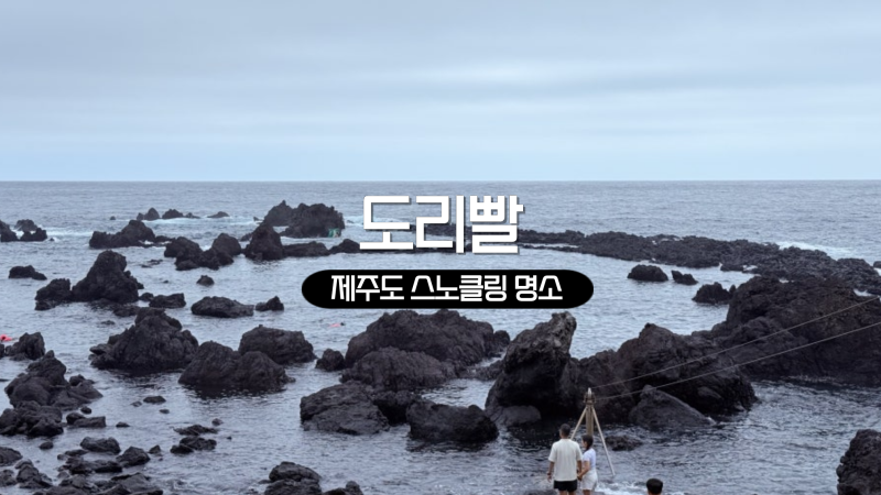 제주도 중문 스노클링 프리다이빙 명소 도리빨 해변