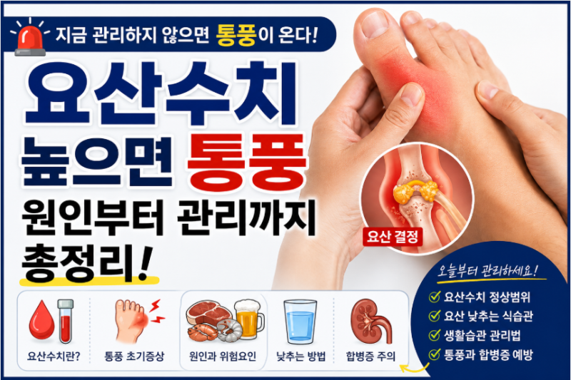 요산수치 높으면 통풍이 올까? 원인부터 정상수치, 낮추는 방법까지 총정리