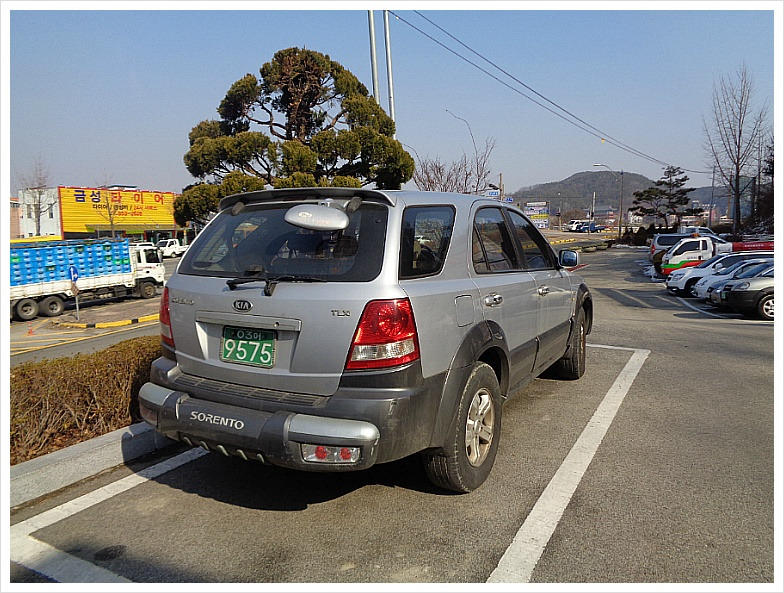 월성산 사진 6