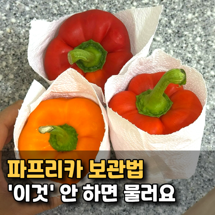 파프리카 보관법 '이것' 안 하면 3일 만에 버립니다