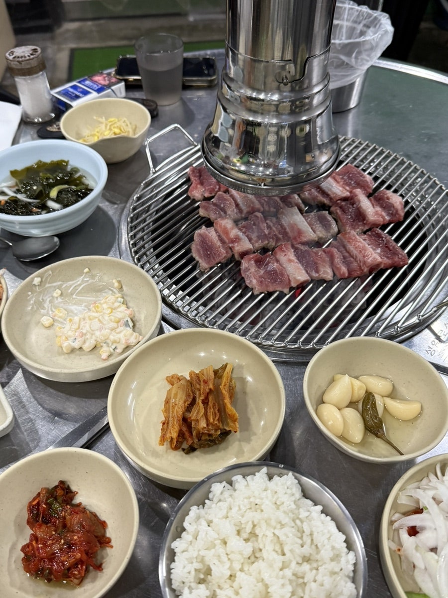 반갑다돼지야 사진 4