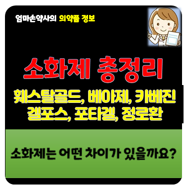 소화제 추천 종류 약국 편의점 훼스탈 베아제 카베진 겔포스 포타겔 정로환 차이 비교