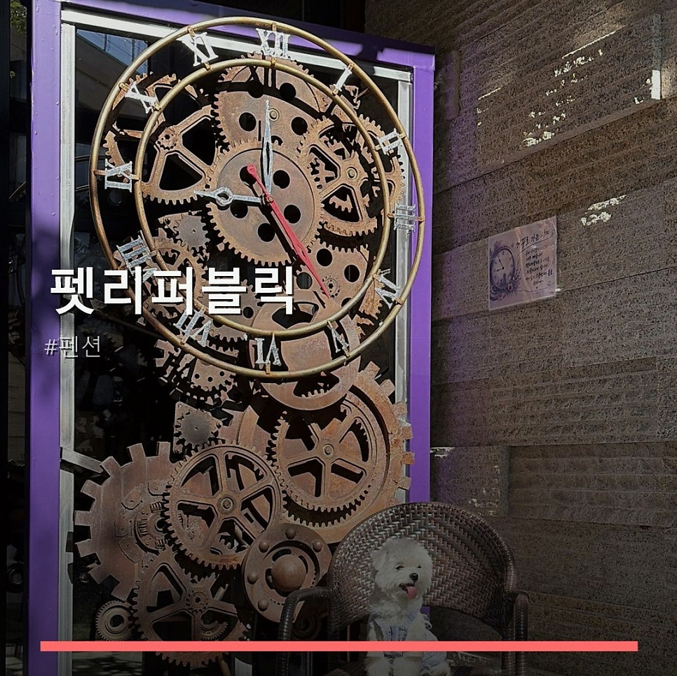 펫리퍼블릭 사진 1