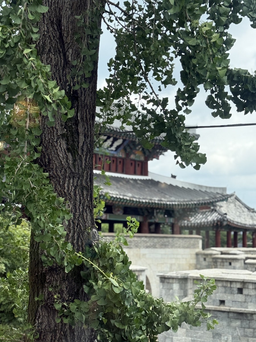 홈댄스 사진 6