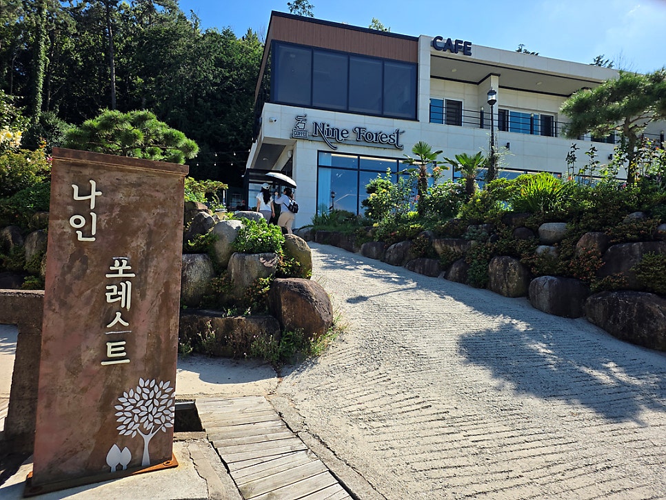 나인포레스트 사진 2