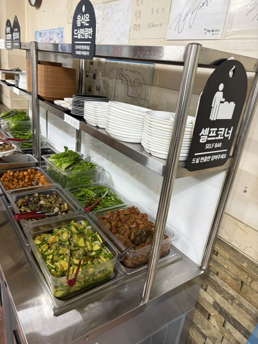 백리향 사진 4