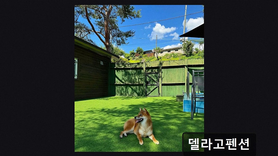 델라고펜션 사진 3