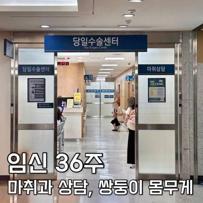 [임신 36주] 서울아산병원 출산 전 마지막 진료 : 제왕절개 마취과 상담, 쌍둥이 몸무게, 배크....